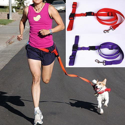 RUNNING ROPE - So macht Jogging auch mit deinem Hund Spaß