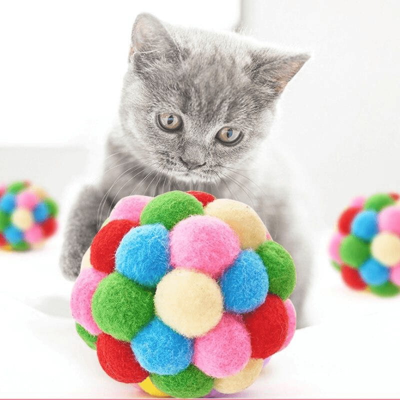 Franky - der bunte Spielball für deine Katze
