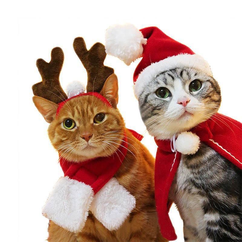 Mrs. Santa - das weihnachtliche Kostüm für deine Katze
